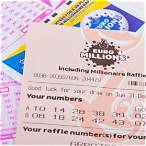 how to bet on the euro lottery